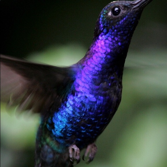 Meet your Posher, Sarah - Picture 1 of 1